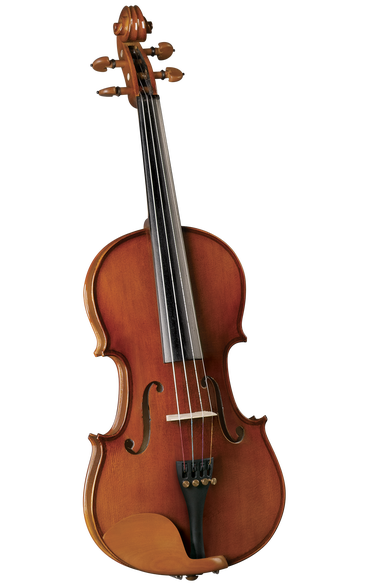 Violin cervini 2025