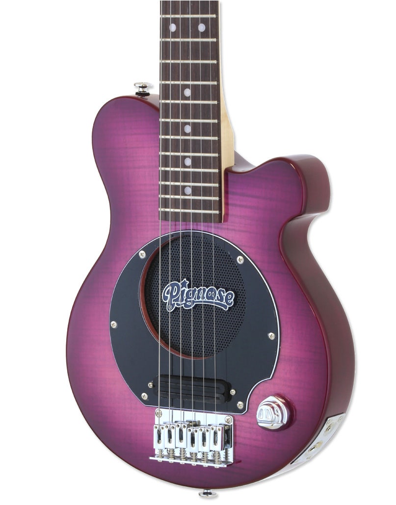 Pignose acoustic guitar on sale