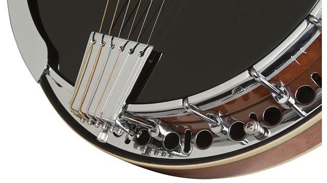 Epiphone stagebird banjo store